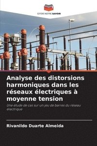 bokomslag Analyse des distorsions harmoniques dans les réseaux électriques à moyenne tension