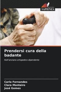 bokomslag Prendersi cura della badante
