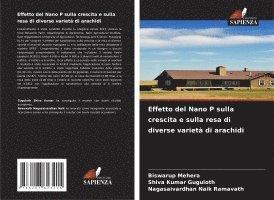bokomslag Effetto del Nano P sulla crescita e sulla resa di diverse varietà di arachidi