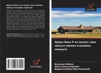 bokomslag Wp¿yw Nano P na wzrost i plon ró¿nych odmian orzeszków ziemnych