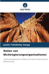 bokomslag Rollen von Nichtregierungsorganisationen