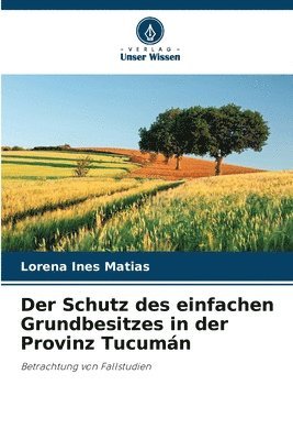 bokomslag Schutz des einfachen Grundbesitzes in der Provinz Tucumán