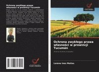 bokomslag Ochrona zwyk¿ego prawa w¿asno¿ci w prowincji Tucumán