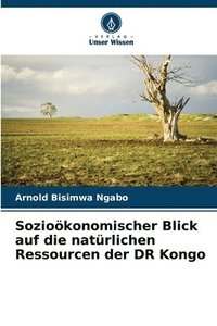 bokomslag Sozioökonomischer Blick auf die natürlichen Ressourcen der DR Kongo