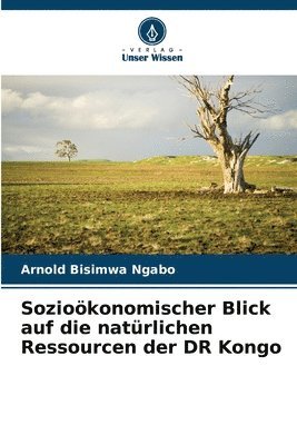 bokomslag Sozioökonomischer Blick auf die natürlichen Ressourcen der DR Kongo