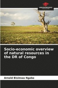 bokomslag Socio-economic overview of natural resources in the DR of Congo