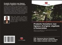 bokomslag Produits forestiers non ligneux d'origine végétale à Esmeraldas