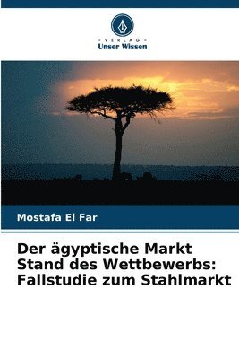 ägyptische Markt Stand des Wettbewerbs