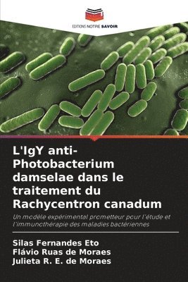 bokomslag L'IgY anti-Photobacterium damselae dans le traitement du Rachycentron canadum