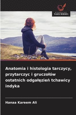 bokomslag Anatomia i histologia tarczycy, przytarczyc i gruczolów ostatnich odgal?zie? tchawicy indyka