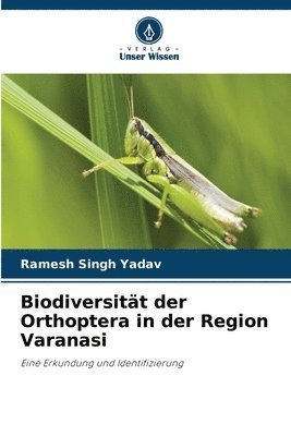 bokomslag Biodiversität der Orthoptera in der Region Varanasi