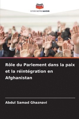 bokomslag Rôle du Parlement dans la paix et la réintégration en Afghanistan