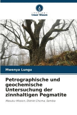 bokomslag Petrographische und geochemische Untersuchung der zinnhaltigen Pegmatite