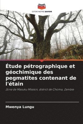bokomslag Étude pétrographique et géochimique des pegmatites contenant de l'étain