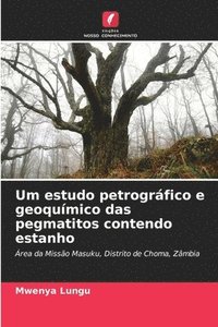 bokomslag Um estudo petrográfico e geoquímico das pegmatitos contendo estanho