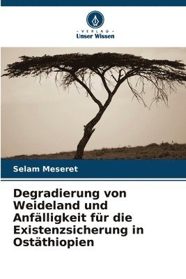 bokomslag Degradierung von Weideland und Anfälligkeit für die Existenzsicherung in Ostäthiopien