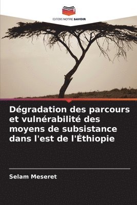 bokomslag Dégradation des parcours et vulnérabilité des moyens de subsistance dans l'est de l'Éthiopie