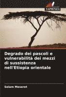 bokomslag Degrado dei pascoli e vulnerabilità dei mezzi di sussistenza nell'Etiopia orientale
