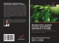 bokomslag Strukturalne aspekty procesu ponownego zalesiania w Carajás