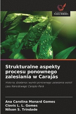 bokomslag Strukturalne aspekty procesu ponownego zalesiania w Carajás