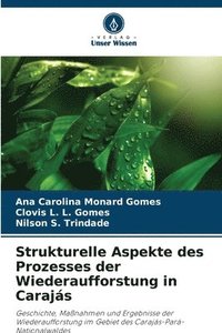 bokomslag Strukturelle Aspekte des Prozesses der Wiederaufforstung in Carajás