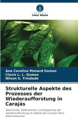 bokomslag Strukturelle Aspekte des Prozesses der Wiederaufforstung in Carajás
