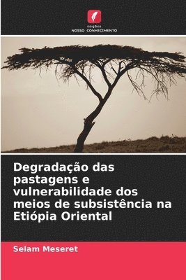 bokomslag Degradação das pastagens e vulnerabilidade dos meios de subsistência na Etiópia Oriental