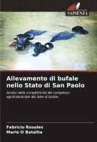 bokomslag Allevamento di bufale nello Stato di San Paolo
