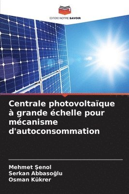 Centrale photovoltaïque à grande échelle pour mécanisme d'autoconsommation