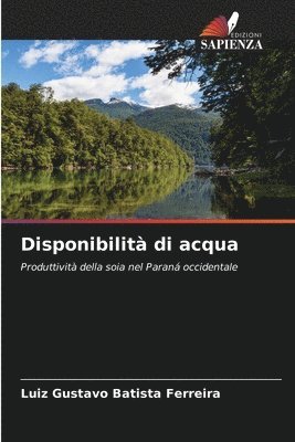 bokomslag Disponibilità di acqua