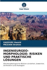 bokomslag Ingenieurgeo-Morphologie: Risiken Und Praktische Lösungen