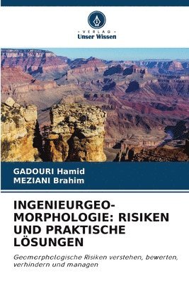 bokomslag Ingenieurgeo-Morphologie: Risiken Und Praktische Lösungen
