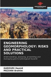 bokomslag ENGINEERING GEOMORPHOLOGY: RISKS AND PRACTICAL SOLUTIONS
