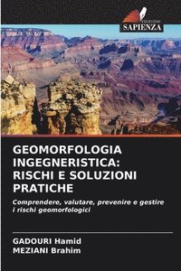 bokomslag Geomorfologia Ingegneristica: Rischi E Soluzioni Pratiche