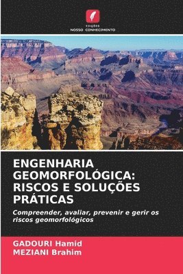 bokomslag ENGENHARIA GEOMORFOLÓGICA: RISCOS E SOLUÇÕES PRÁTICAS