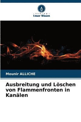 bokomslag Ausbreitung und Löschen von Flammenfronten in Kanälen