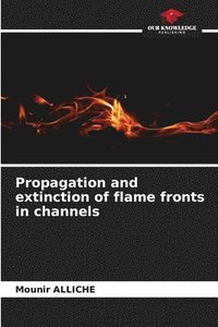 bokomslag Propagation and extinction of flame fronts in channels