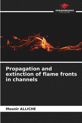 bokomslag Propagation and extinction of flame fronts in channels