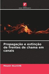 bokomslag Propagação e extinção de frentes de chama em canais