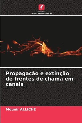bokomslag Propagação e extinção de frentes de chama em canais