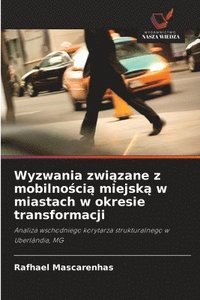 bokomslag Wyzwania zwi?zane z mobilno?ci? miejsk? w miastach w okresie transformacji