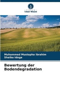 bokomslag Bewertung der Bodendegradation