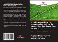 bokomslag L'huile essentielle de Croton zehntneri sur la réparation des tissus chez la souris
