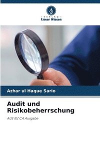 bokomslag Audit und Risikobeherrschung