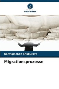 bokomslag Migrationsprozesse