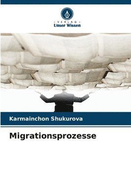 bokomslag Migrationsprozesse