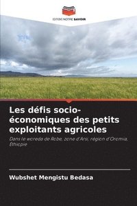 bokomslag Les défis socio-économiques des petits exploitants agricoles