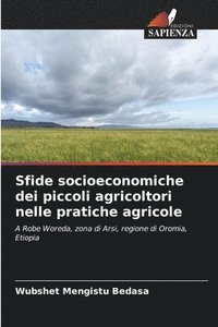 bokomslag Sfide socioeconomiche dei piccoli agricoltori nelle pratiche agricole