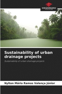 Nylton Mário Ramos Valença Júnior - Sustainability of urban drainage projects, Häftad