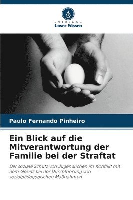 Paulo Fernando Pinheiro - Ein Blick auf die Mitverantwortung der Familie bei der Straftat, Häftad